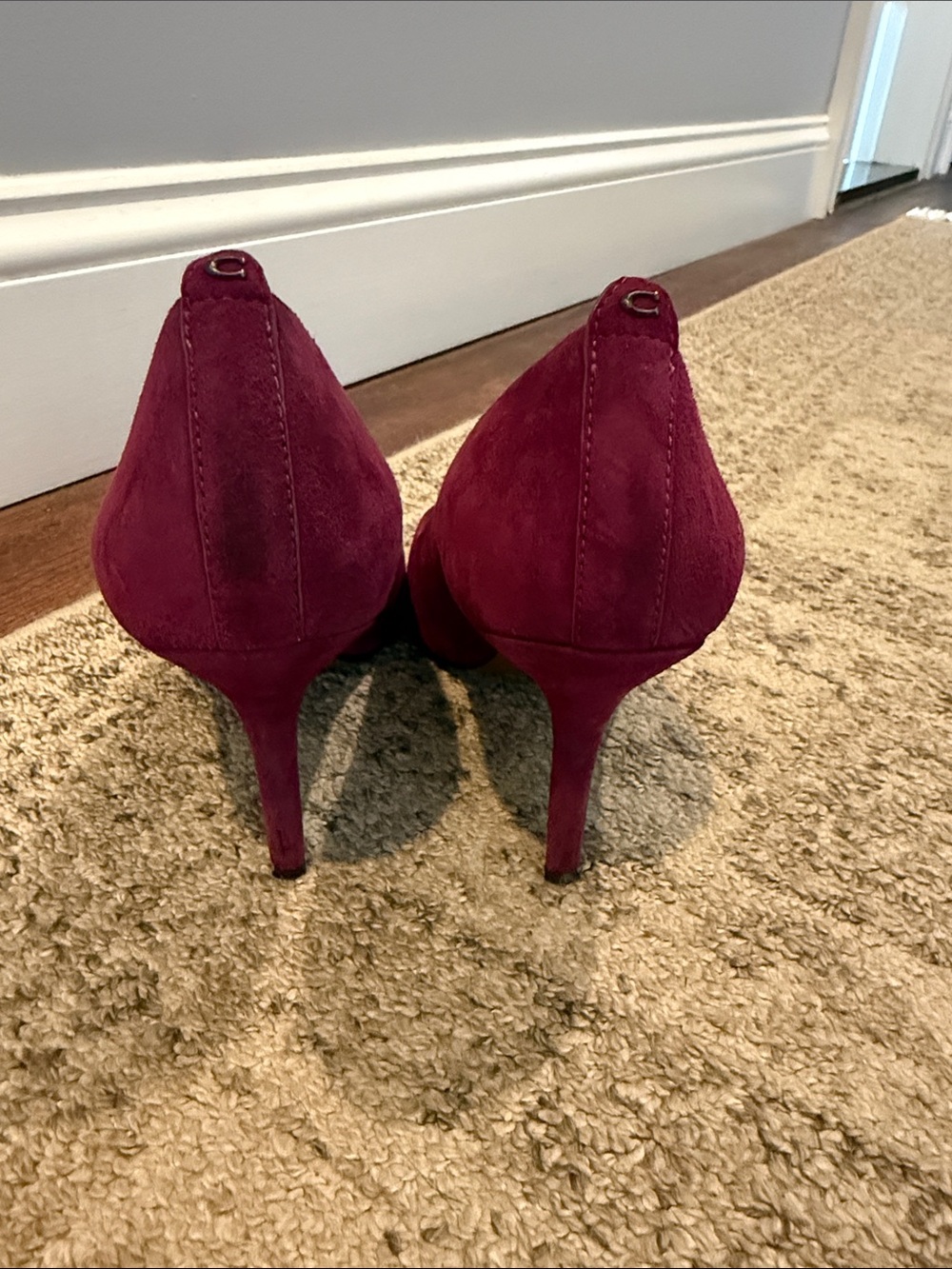 Coach Wine Suede Pointed-Toe Stiletto Pumps - Picture 4 of 9